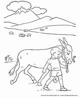 Coloring Pages Donkey Farm Animal Pasture Animals Printable Honkingdonkey Kids Library Clipart Comments Line sketch template
