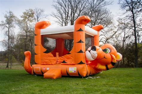tiger belly bounce inflatable rentals bemidji mn where to