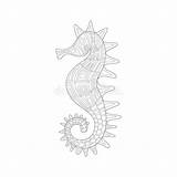 Onderwater Kleurende Volwassen Seahorse Overzeese Zentangle Aard Boekillustratie sketch template