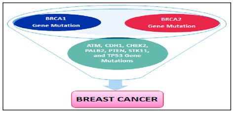 Possible Genes Mutations Associated With Breast Cancer Development