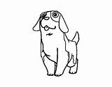 Bernard St Coloring Young Pages Coloringcrew Sausage Dog Getcolorings Template sketch template