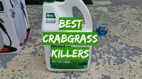 Top 5 Best Crabgrass Killers [2020 Review] Grass Killer