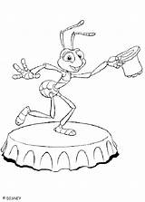 Pintar Formigas Qdb Milhares Procura Precisa Bug sketch template