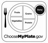 Myplate Coloring Usda Protein Bw Charts Grains sketch template