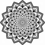 Mandala Coloring Adult Clipart Floral Svg Clip Illustration Inquiry Policies Forms Privacy sketch template