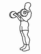 Entrenamiento Halterofilia Pesas Levantamiento Allenamento Sollevamento Musculation Imprimer Weightlifting Coloriage Pesi Imprimir Lifting Caricatura Exercice sketch template