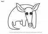 Aardvark Draw Drawing Kids Step Tutorials sketch template