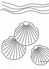 Coquillage Muschel Seashell Ausmalbilder Coloriages Colouring Ko Colorier Letzte Malvorlagen sketch template