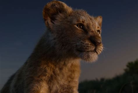 here s the one real shot in disney s the lion king remake