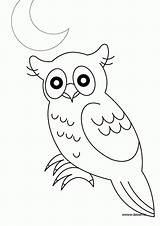 Hibou Coloriage Hiboux Dessin Owl Coloriages Colorier Imprimer Chouette Owls Foret Forêt Nuit Oiseau sketch template