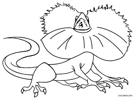 printable lizard coloring pages  kids coolbkids