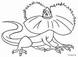 Lizard Coloring Pages Frilled Printable Kids sketch template