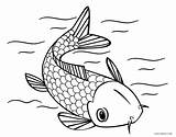 Koi Fisch Ausmalbild Pesci Cool2bkids Pesce Getcolorings Colorin sketch template