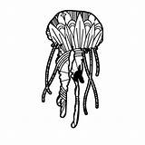 Mandala Jellyfish Mandalasvg sketch template