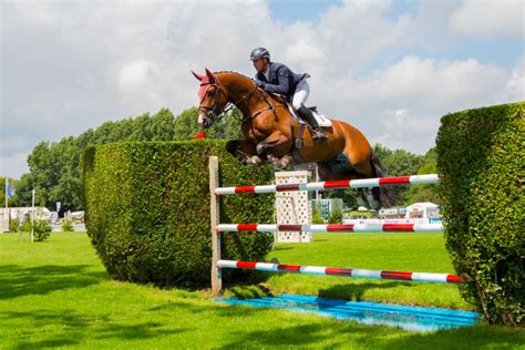 providing consistent conditions to the best show jumping arena in the