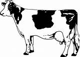 Cow Line Clipart Book Drawing Clipartbest Colouring Letters Coloring Clip Svg sketch template