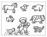 Animali Colorare Fattoria Disegni Kebun Binatang Mewarnai sketch template