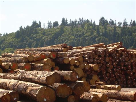 canadas premiers plead  quick moves    lumber deal