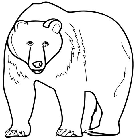 bear coloring pages preschool  kindergarten bear coloring pages