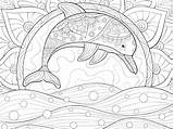 Dolphin Delfin Delfines Ausmalbilder Relaxing Dolphins Drucken Leuk Raskrasil Malvorlagen Volwassen Kleurende Ontspannen Verbnow Unterwasserwelt Zen sketch template