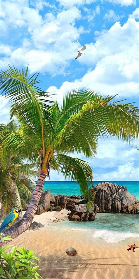 pic of the day…the life 🏝️ beach tropics paradise tropical travel beaches