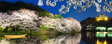 14 day pass japan s best of the west cherry blossoms itinerary