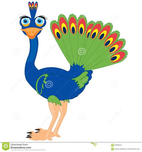 Cartoon Of The Bird Peacock Stock Vector Illustration Of