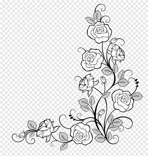 white roses border drawing flower idea rose white leaf png pngegg