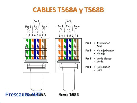 wiring diagram cat  cable