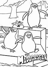 Madagascar Coloring Penguins Pages Characters Color Print sketch template