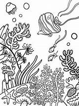 Coral Reef Coloring Pages Fish Printable Underwater Ocean Kids Print Fun Color sketch template