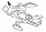 Coyote Wile Coloring Pages Roadrunner Drawing Runner Road Howling Getcolorings Getdrawings Print Color Printable Colorings sketch template