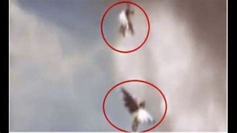 amazing photo two angels caught on camera flying in brazil see video