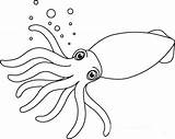 Squid Clipart Outline Cuttlefish Coloring Clip Octopus Sea Animals Cute Marine Life Pages Outlined Mouth Open Vector Clipground Clipartix Animated sketch template
