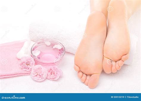 foot massage   spa  pink rose stock image image