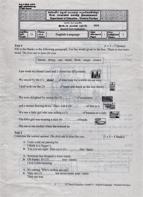 grade  english test paper  images english model activities