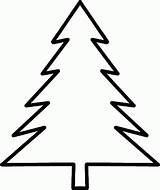 Evergreen Tree Clipart Outline Coloring Popular Library Coloringhome sketch template