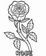 Coloring Rose Flower Single sketch template