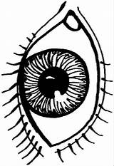 Kleurplaat Lichaam Eye Body Oog Menselijk Kleurplaten Augen Clipartmag Eyeball Snake Zo Stemmen sketch template