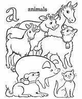 Farm Coloring Animals Animal Pages Printable Print Alphabet Large sketch template