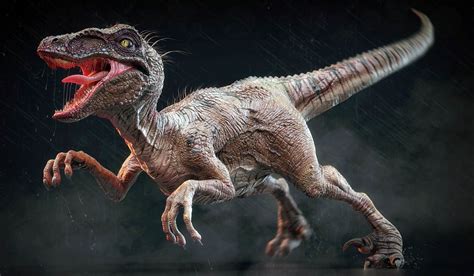largest raptors dromaeosaurs top  dinoanimalscom