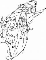 Sled Dog Coloring Pages Printable Getcolorings Getdrawings Drawing Comments sketch template