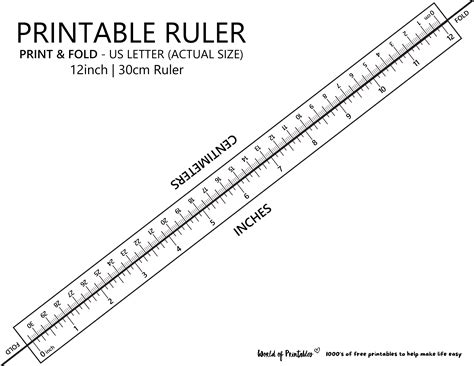 printable ruler  accurate ruler inches cm mm world  printables