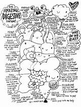Digestive Guts Rectum Simply Path sketch template