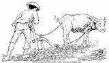Coloring Buffalo Farmer Water His Plowing Fashioned Effective Soil Consuming Same Way Very Just But Old Time sketch template