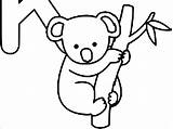 Koala Coloring Baby Cute Pages Coloringbay sketch template