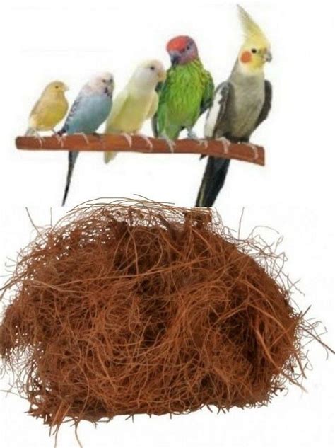 small caged bird nesting natural coconut bedding material