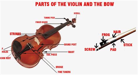 parts   violin  bow violin symphony