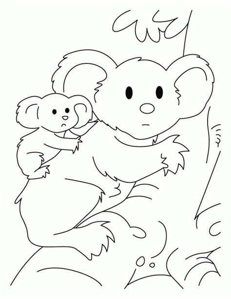 koala bear coloring page coloring home