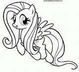 Fluttershy Hermoso sketch template